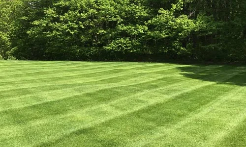 Large lawn in Conneaut that was recently mowed by our team.