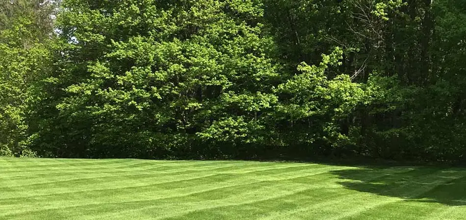 The backyard of this Ashtabula homeowner was just visited by team members from Canter's Classic Lawn Care for maintenance services.
