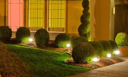 Landscape lighting illuminating trees and shrubs in the front of a home in Conneaut, OH.